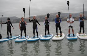 Paddleboard Rental in Christchurch, New Zealand