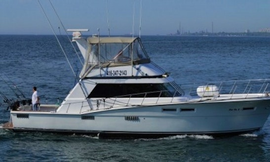 52' Sport Fisherman