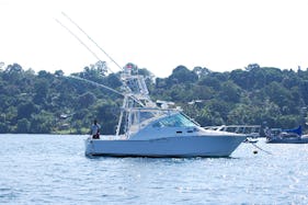 35' Sport Fisherman Fishing Charter in Puntarenas, Costa Rica