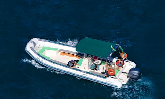 Speed Boat Tour In Brazil