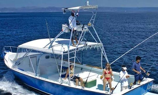 Let's Go Fishing in Coco Beach, Florida on a Cuddy Cabin Boat!
