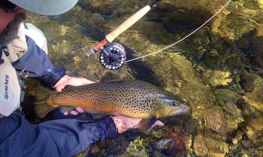 Guided Fly Fishing Float Trips In Asheville