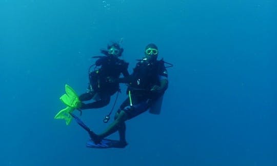 ベリーズのローカルリーフダイブボートツアー（2人用）