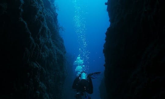 Local Reef Dive Boat Trips for 2 Person in Belize!