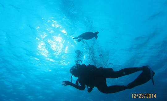 Local Reef Dive Boat Trips for 2 Person in Belize!