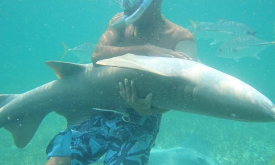 サンペドロでの深海釣り旅行