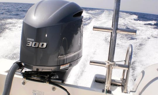 25'RIB Charter in Sant Josep de sa Talaia, Spain