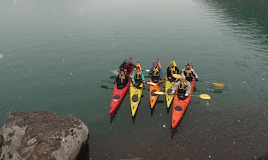 Sea Kayaking Tour on Inca Lagoon, Chile, Andes