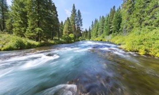 Bass Boat Fishing Charter in Sisters, Oregon