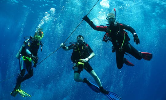 Excursions de plongée sous-marine et de snorkeling sur l'île de Pelicano