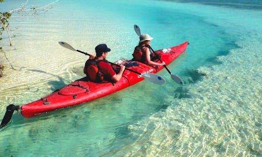 Kayak Rental & Tours in Ladyville, Belize