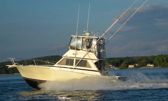 Fishing Charter On 35ft “hooked Up” Viking Yacht In Sevastopol, Wisconsin