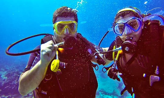 Easy to Extreme Scuba Diving Trips in Cancún, Mexico