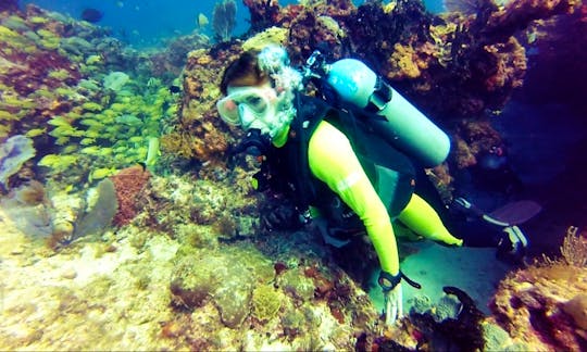 Easy to Extreme Scuba Diving Trips in Cancún, Mexico