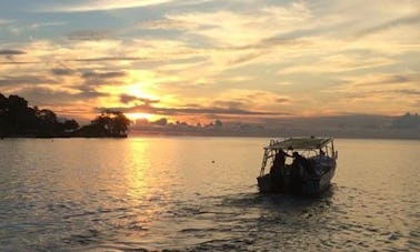 23' Panga Fishing Boat in Panama