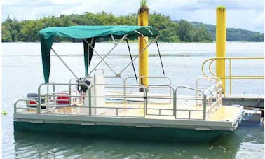 Excursion d'observation des oiseaux en bateau au Panama