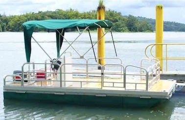 Bird Watching Tour by Boat in Panama