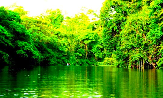Canoe Guided Tours in Tortuguero, Costa Rica