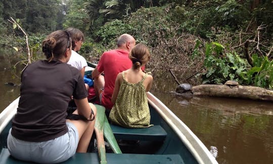 Canoe Guided Tours in Tortuguero, Costa Rica