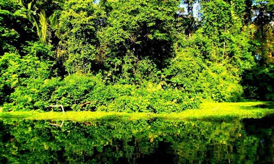 Guided Kayak Excursions in Tortuguero, Costa Rica