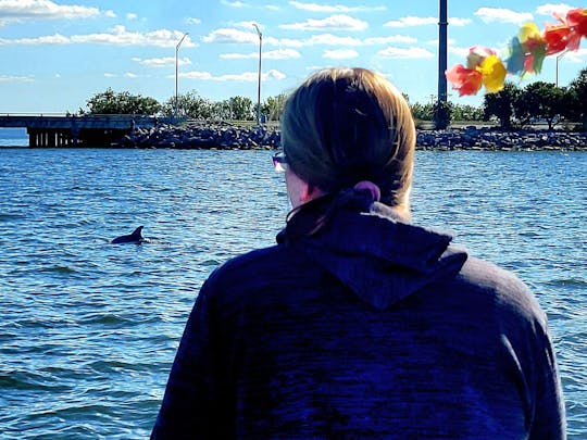 Sunset Dolphin Sightseeing Tour in Cocoa Beach, Florida
