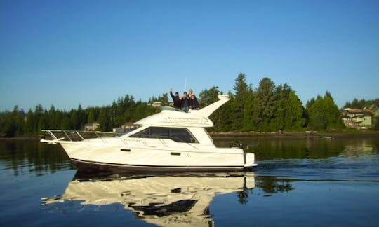 39' Fishing Charter In Ucluelet