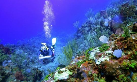 Scuba & Snorkel Dive Boat In Antigua