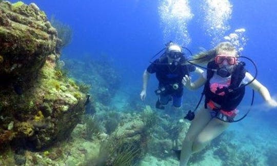 Scuba & Snorkel Dive Boat In Antigua