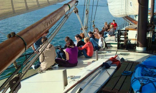 Fantastic Sailing Trip from Harligen