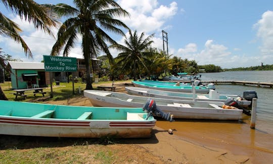 Carta de pesca de 23 pés no console central em Monkey River Town, Belize