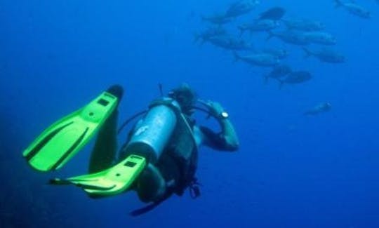 Buceo en Cayos Cochinos y montañas marinas frente a la costa de Honduras