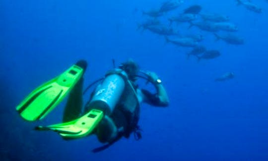 Scuba Diving Cayos Cochinos and sea mounts off the coast of Honduras