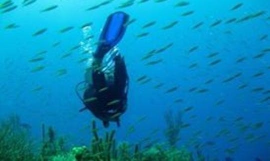 Scuba Diving Cayos Cochinos and sea mounts off the coast of Honduras