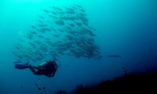 Buceo en Cayos Cochinos y montañas marinas frente a la costa de Honduras