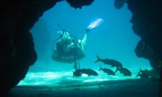 Buceo en Cayos Cochinos y montañas marinas frente a la costa de Honduras