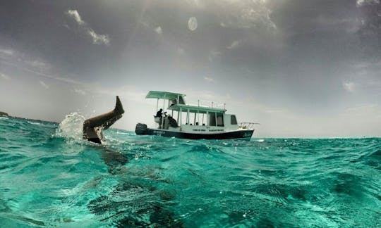 Visite guidée de Glass Bottom à San Andrés