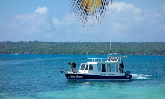 Visite guidée de Glass Bottom à San Andrés