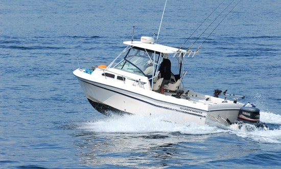 24ft Grady White Cuddy Cabin Boat Fishing Charter In Victoria Canada Getmyboat