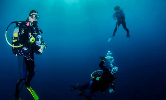 Jump on board for the best diving In Cape Town, South Africa
