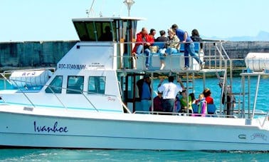 Croisière privée d'observation des baleines Hermanus - Lancement depuis Gansbaai, en Afrique du Sud