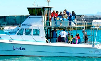 Hermanus Whale Watching Private Charter - Launch from Gansbaai, South Africa