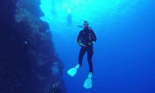 Dive Charter in Vitacura, Chile