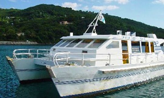Power Catamaran "Blue Planet" Charter in Deshaies, Guadeloupe