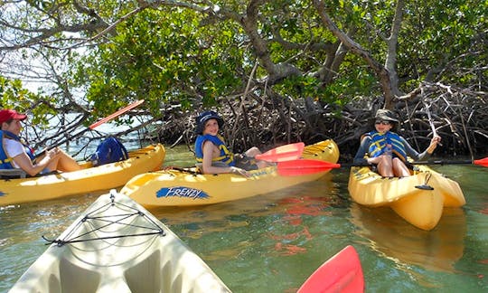 Unforgettable Kayaking Experiences In Naples, Florida