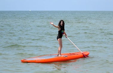 Stand Up Paddleboard Rental In Naples