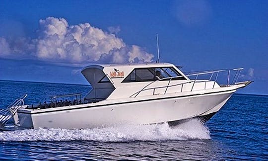 36ft Cuddy Cabin Diving Charter in George Town, Cayman Islands