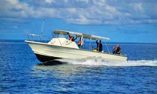 32' Carretta Head Boat Diving Charter In George Town, Cayman Islands