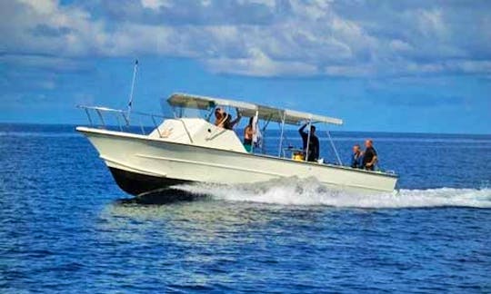 32' Caretta Diving Charter in George Town, Cayman Islands