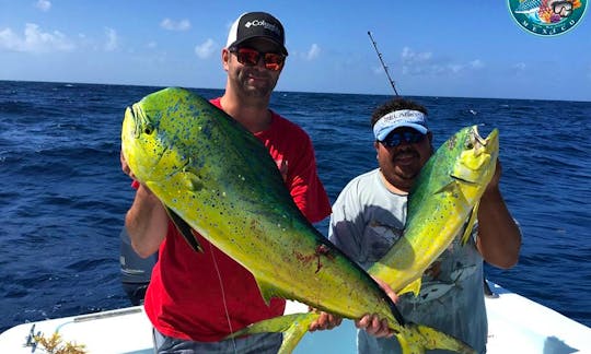 30' Sportfisherman Fishing Charter in Isla Mujeres, Mexico
