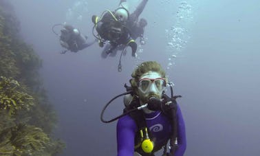 Diving in Santa Marta, Colombia